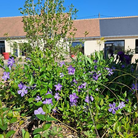 Au Ginkgo Bed & Breakfast Chaumont-sur-Loire Dış mekan fotoğraf