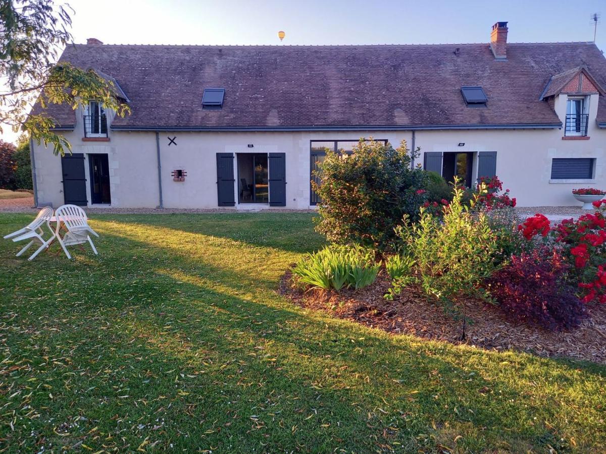 Au Ginkgo Bed & Breakfast Chaumont-sur-Loire Dış mekan fotoğraf